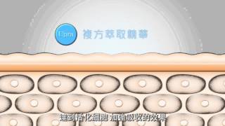 Mdmmd.Upra™保濕亮白生物纖維面膜