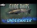 Choosing Glide Baits for Bass Fishing | Underwater Comparisons