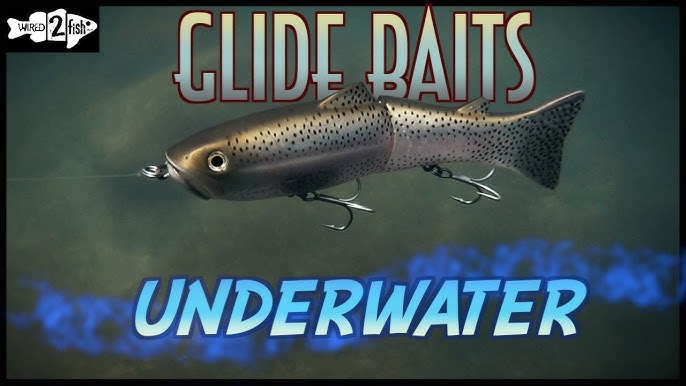 Glide Bait Bass Fishing 🐟  Everything You Need to Know ‼️ 