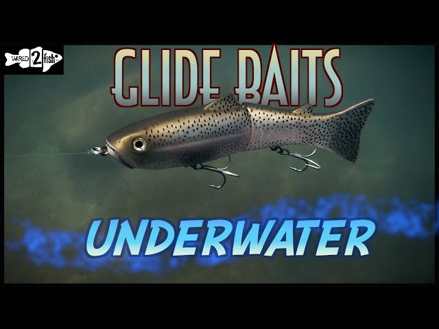 Choosing Glide Baits for Bass Fishing