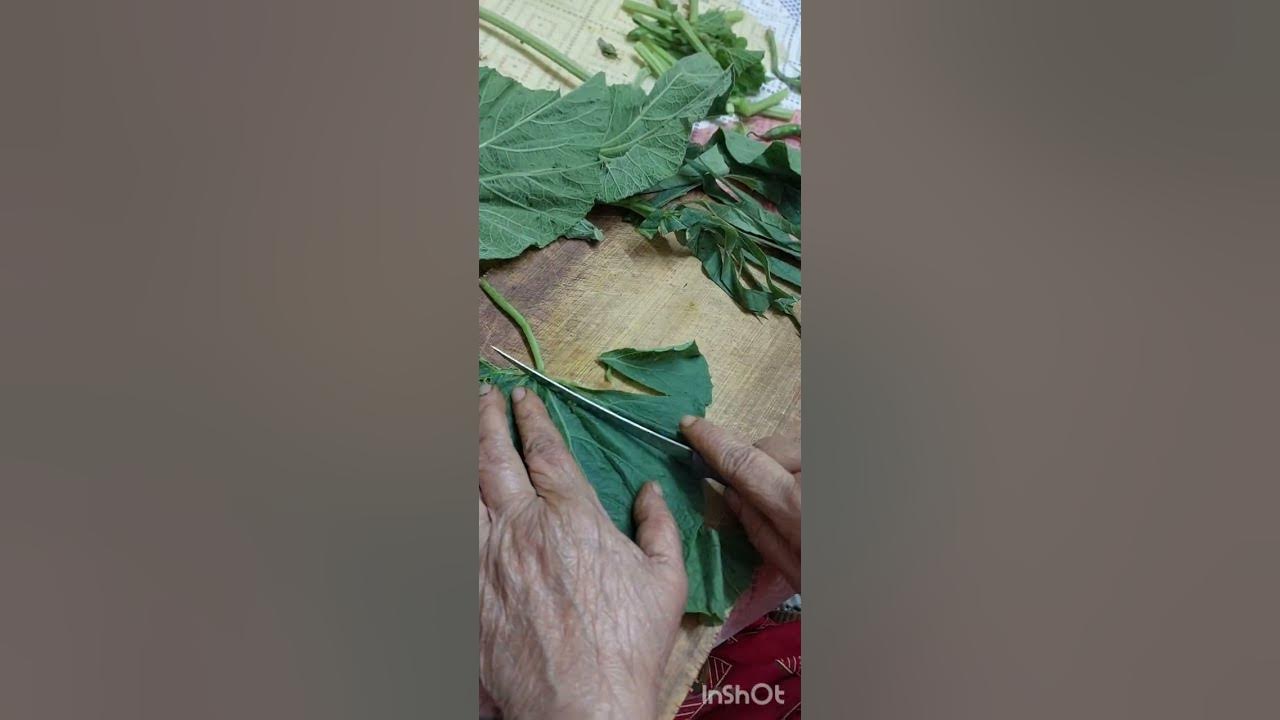 how-to-cut-bottle-gourd-leafs-youtube