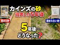 雑草対策｜カインズの固まる砂と固まらない防草砂のメリットとデメリット
