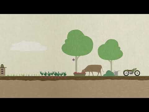 Vidéo: Principes De L'agriculture Biologique