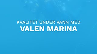 Kvalitetskontroll Under Vann Med Valen Marina