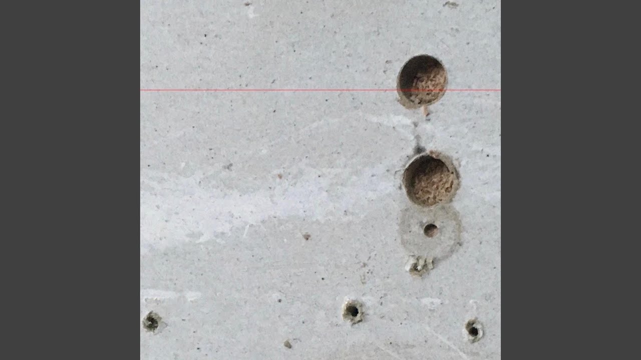 Watch Spider on YouTube Watch Spider on YouTube