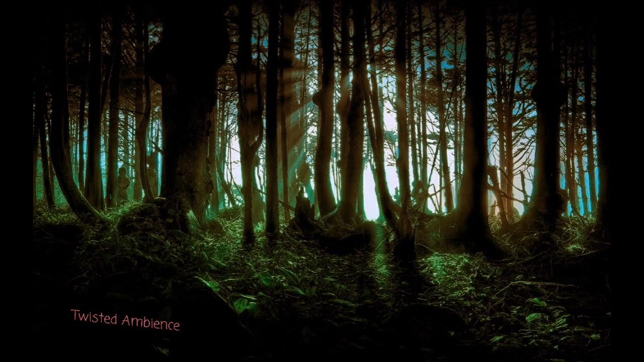 Эмбиент лес. Эмбиент музыка. Forest ambient. Обои ambient. Дерево в лунном свете.