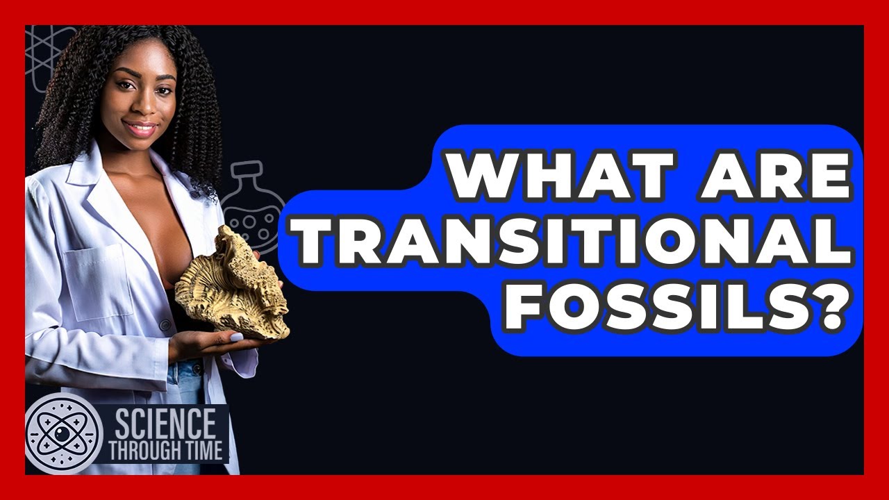 What Are Transitional Fossils? - Science Through Time