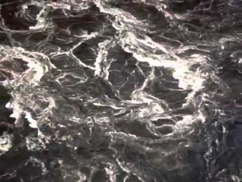 ამ ვიდეოს ყურების შემდეგ ადრენალინის მოზღვავებას იგრძნობთ!