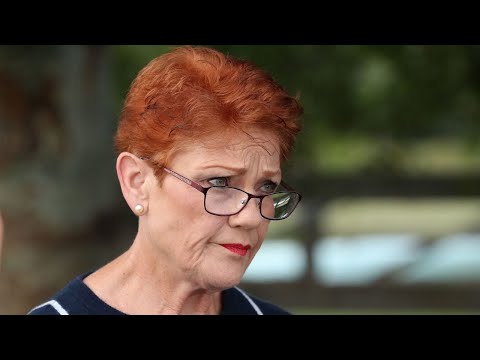 I don’t trust the government on COVID app: Hanson I don’t trust the government on COVID app: Hanson