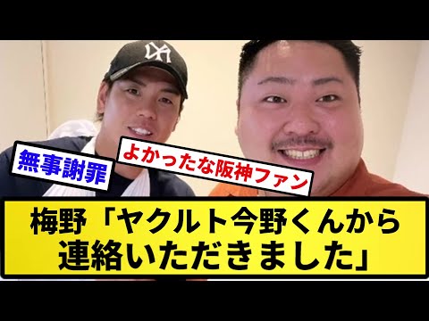 【一件落着】梅野隆太郎「ヤクルト今野くんから連絡いただきました」【反応集】【プロ野球反応集】【2chスレ】【5chスレ】