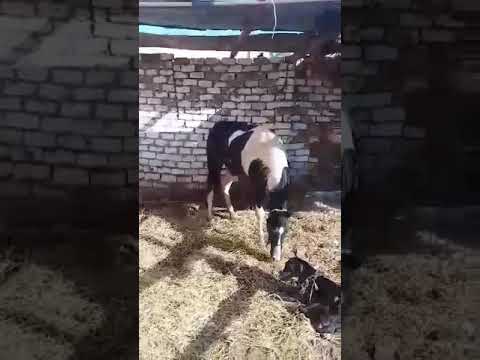 ٦ سبتمبر ٢٠٢٠