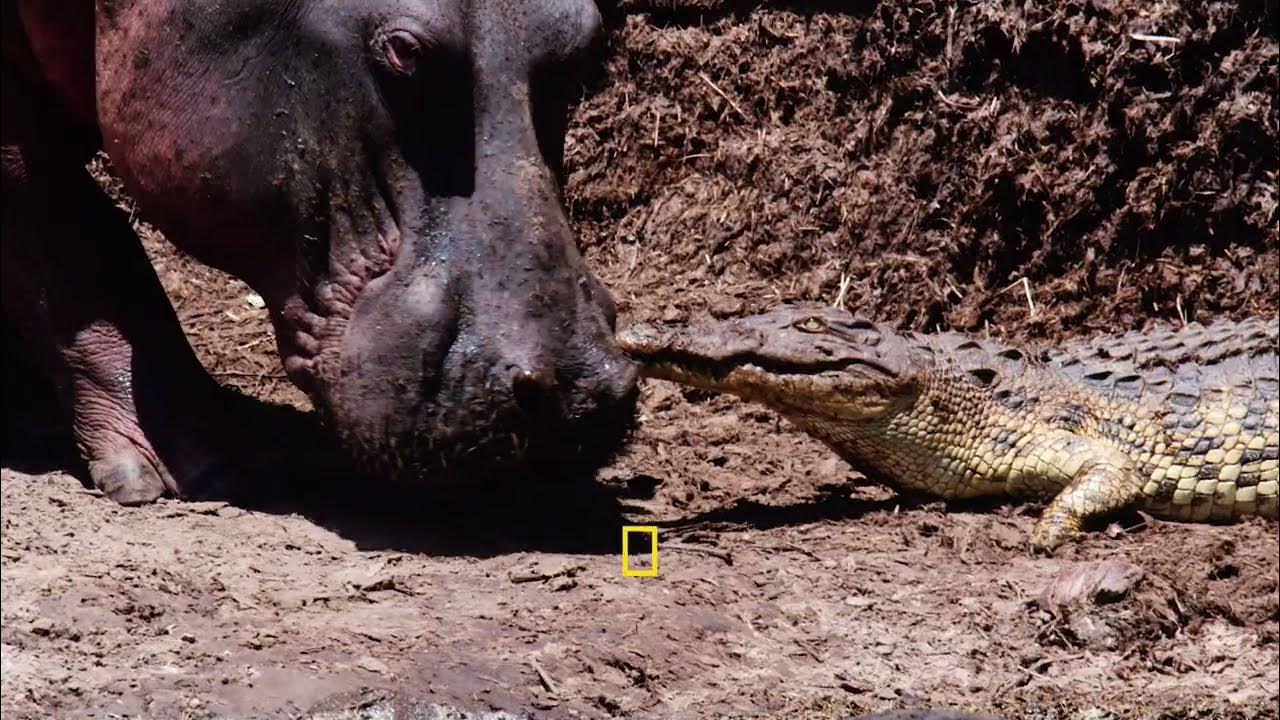   | :    |   
 - نشر قبل 13 ساعة