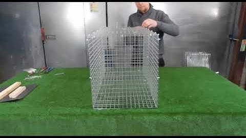 TrapMan Single catch Larsen magpie trap with decoy compartment