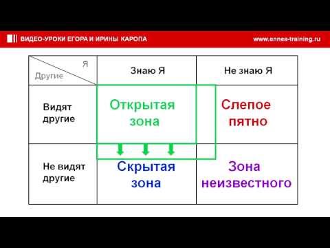 Видео: Что такое оконное упражнение Джохари?