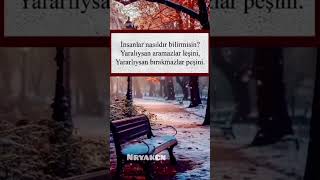 İnsanlar Nasıldır Bilirmisin? Yaralıysan Aramazlar Leşini, Yararlıysan Bırakmazlar Peşini.