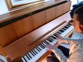 Dimitri Vegas & Like mike feat. Moquai - Mammoth ( Piano Arrangement by Danny )