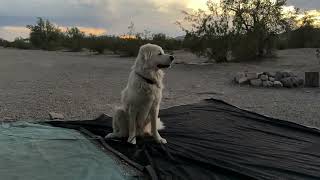 видео: Quartzsite изменился | По крайней мере, для меня. картинка: Quartzsite изменился | По крайней мере, для меня.