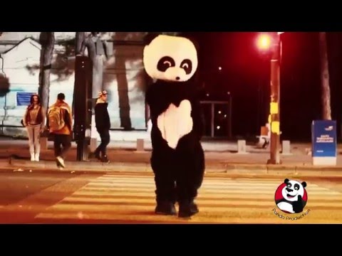 საყვარელი პანდა | Panda Production