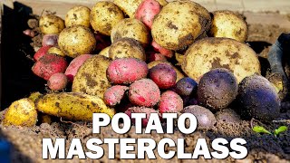 Potato Growing Masterclass: Complete Guide to Grow Potatoes