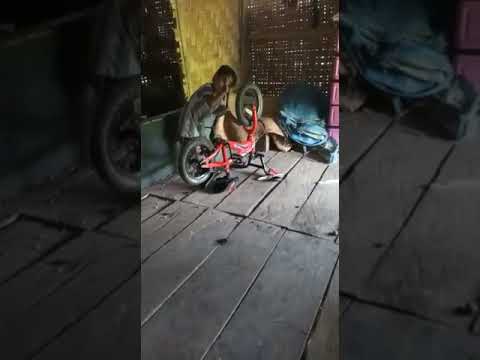 Anak kecil main sepeda lucu sekali YouTube Anak kecil main sepeda lucu sekali YouTube