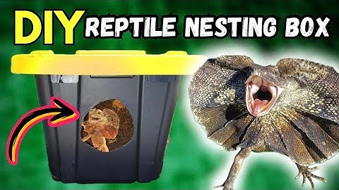 How to Make a DIY REPTILE NESTING BOX! (TUTORIAL!)