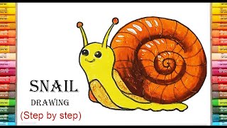 Snail Drawing || How to Draw a Snail Drawing Step by Step || Draw a Cute Snail