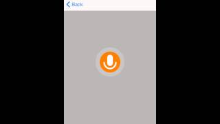Salesforce Voice Recognition with API.AI