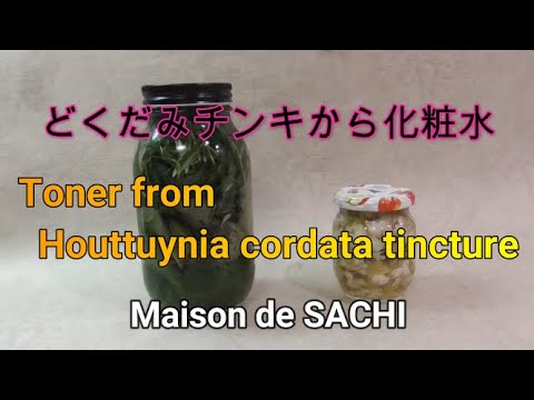 どくだみチンキから化粧水 Toner From Houttuynia Cordata Tincture Youtube どくだみチンキから化粧水 Toner From Houttuynia Cordata Tincture Youtube