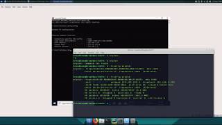 Virtual-Box, Windows 10 Network Setup