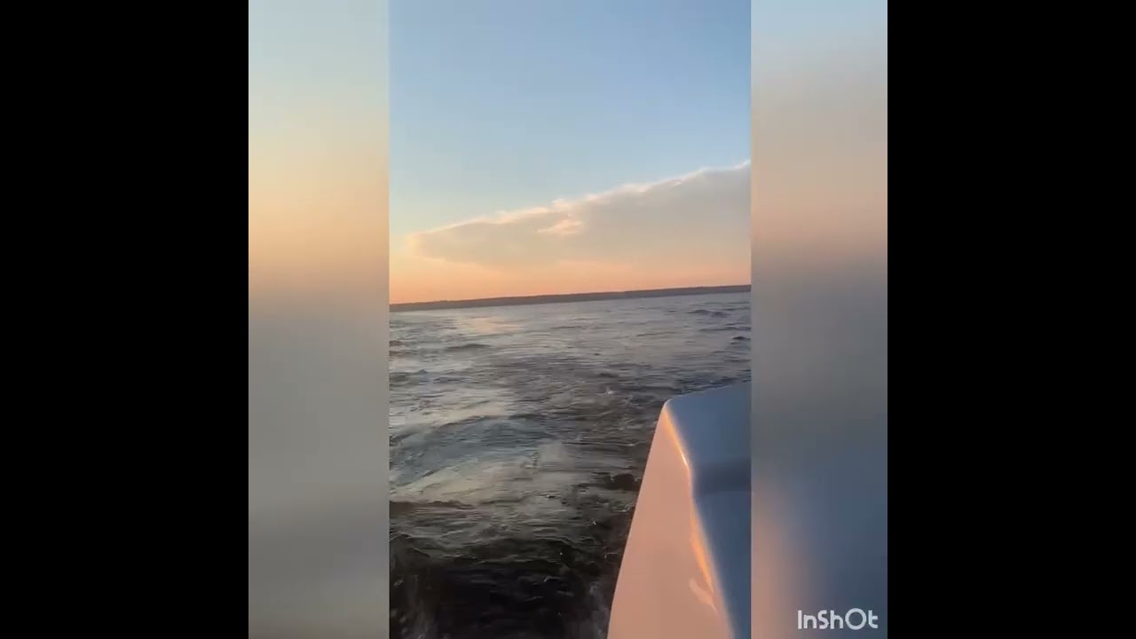 Заволжье 2022. SINGULARITY HUB. ЛМШ 2022. Part 2