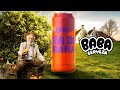 🍺Baba cerveza Farm House Ale🍊 | Somi Beercast | REVIEW