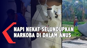 Petugas Lapas Bongkar Penyelundupan Narkoba dalam Anus