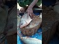 Fish Cutting Skill | Mrigal, Rohu, Katla &amp; Hilsa Fish Cutting By Expert Fish Cutter