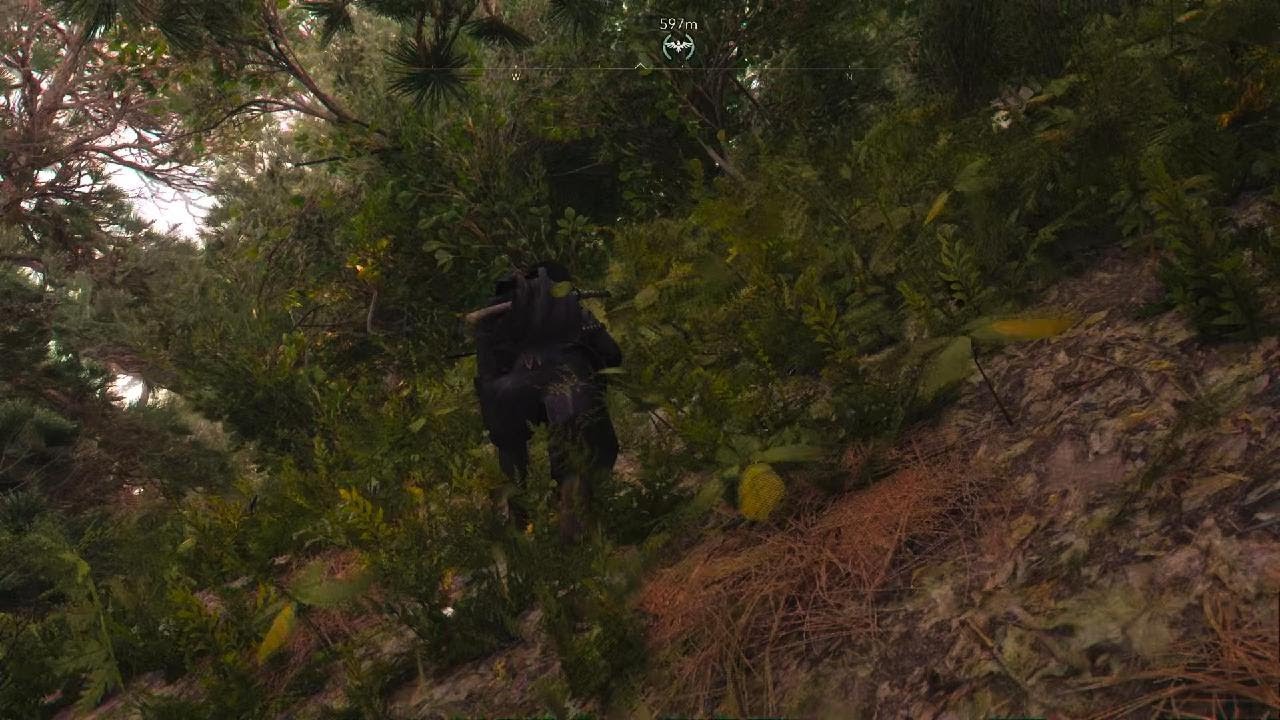 Assassin's Creed Shadows - Where to find the Graceful Crane