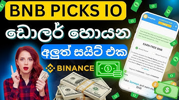 How can I apply for BNB flash loans using the Binance FlashLoan Arbitrage Bot?