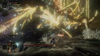 Elden Ring: Rune Level 1. My best Radagon and Elden Beast attempt recently.