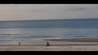 Estero Beach Club Enjoying The Beach