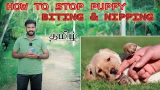 How to stop Puppy Biting Problem Tamil | Puppy Biting Training Tricks in Tamil