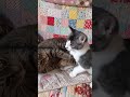 朝のみんな 2026年6月16日