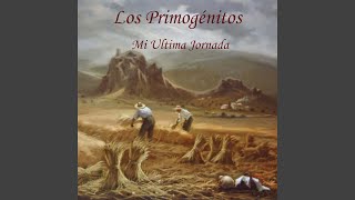 Video thumbnail of "Os Primogenitos - A Mi Dios"