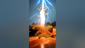 Lightning Strike Hits The Tree! ⚡🌲 Caught On Camera 😱😟 #lightningstrike  #caughtoncamera #treestrike