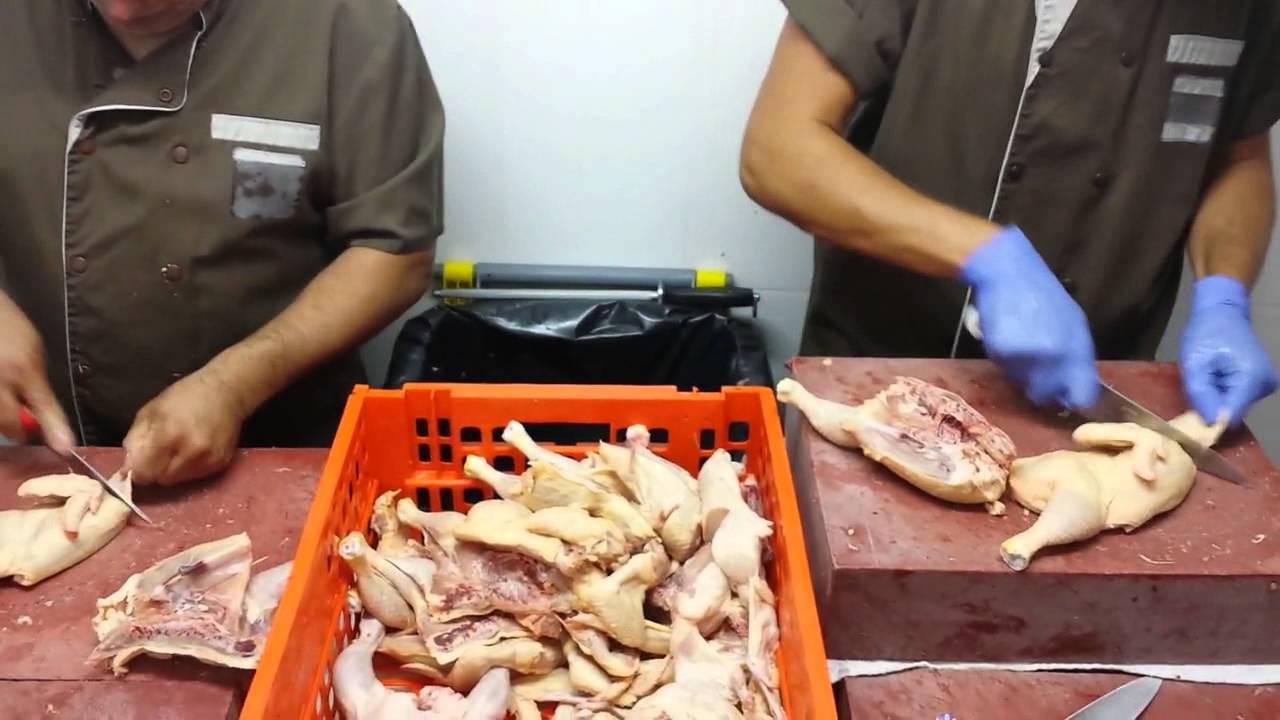 Como Cortar 20 frangos em menos de 5 minutos!!! Hugo Bentes e Henrique Bacalhau