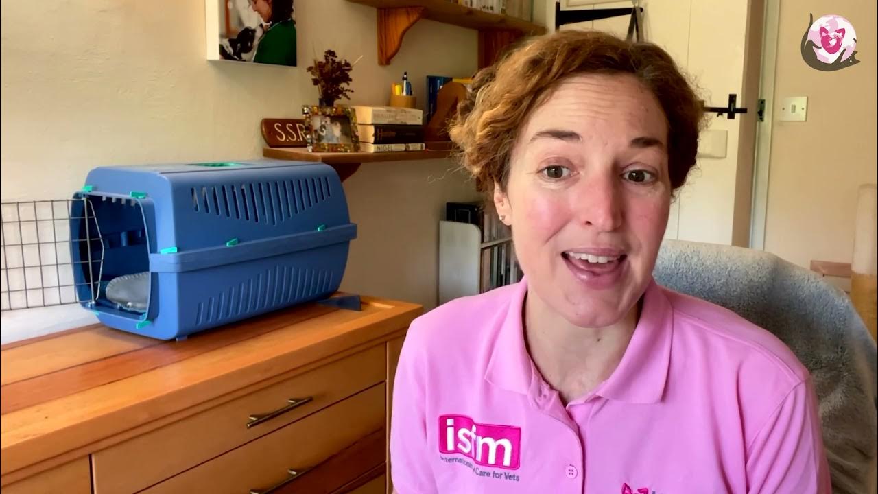 Cat Carrier Training Introduction YouTube