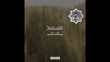 سورة الزمر || قل يا عبادي الذين اسرفوا على انفسهم || ادهم النابلسي @adhamnabulsi ✨.