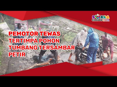 Pemotor Tewas Tertimpa Pohon Tumbang Tersambar Petir