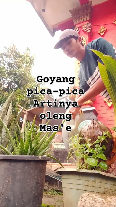 hanyalah manusia byasa yg ingin dicintai & disayangi oleh seorang wanita #trendingshorts #carijodohc
