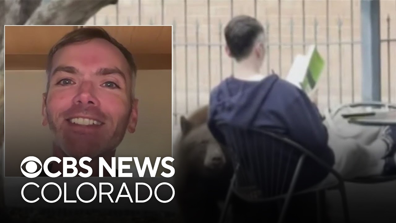 Man who calmly read his book when bear sniffed him tells all