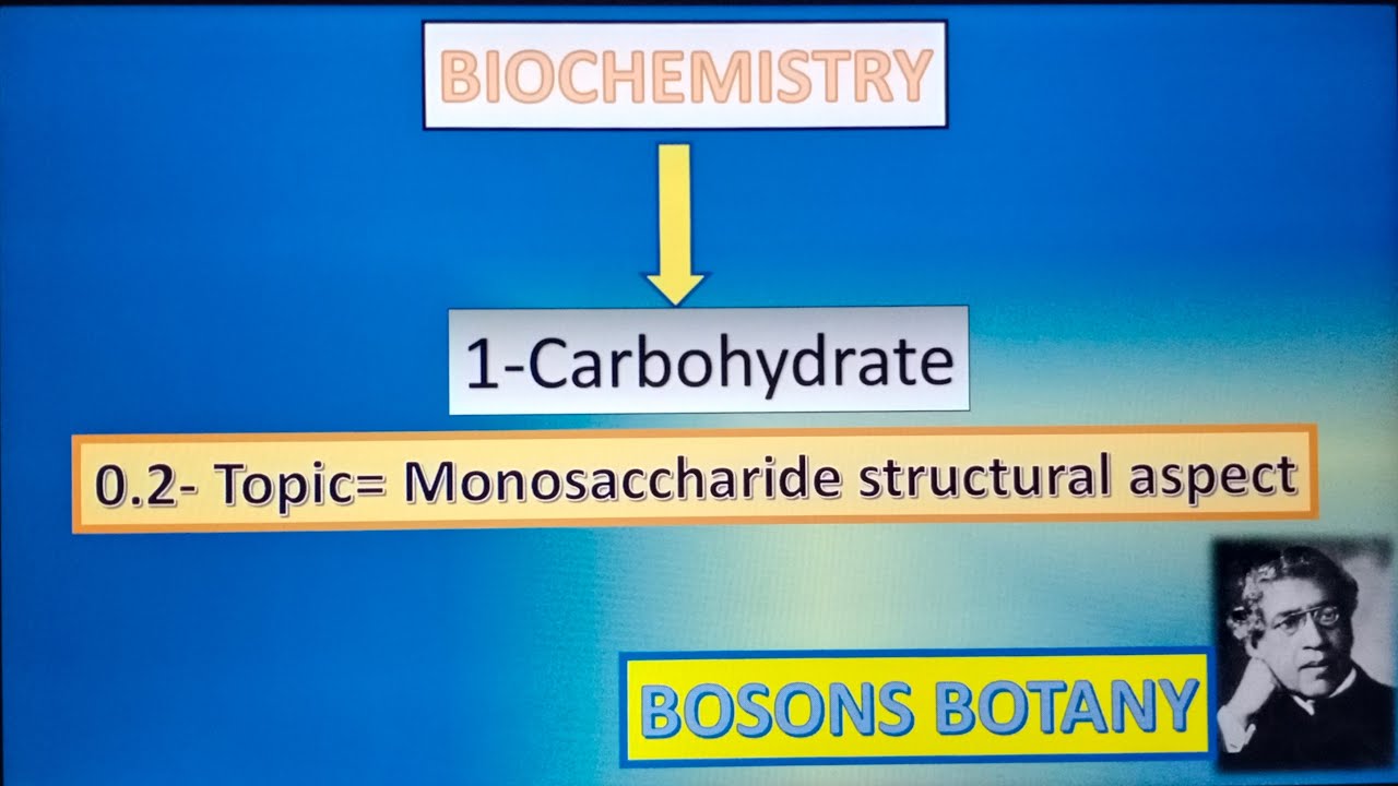 Monosaccharide structural aspects 0.2 || Biochemistry || Bosons botany