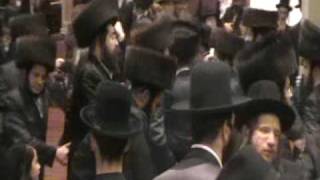 More Dancing Skolya Chasuna