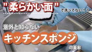 【ウラオモテ逆！？】意外と知らない！スポンジの基本 - くらしのマーケット